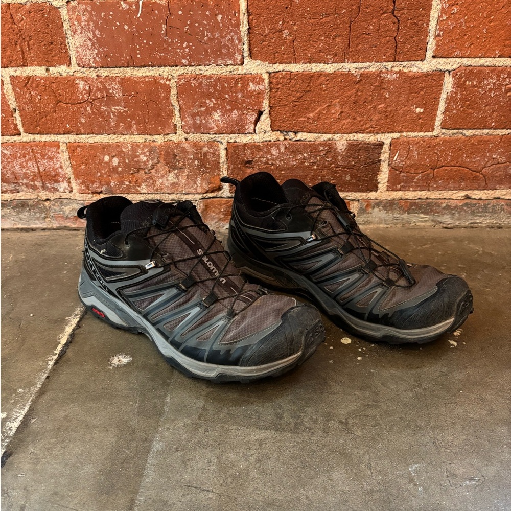 Salomon Men's X Ultra 3 Goretex Hiking Shoe